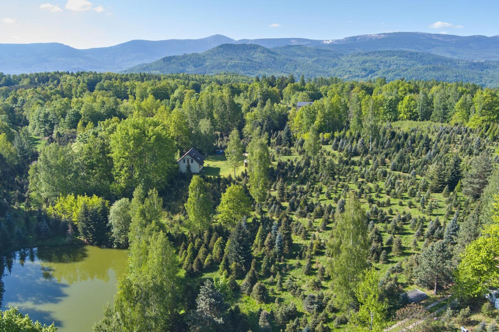 Agroturystyka - Srebrny Las Staniszow المظهر الخارجي الصورة